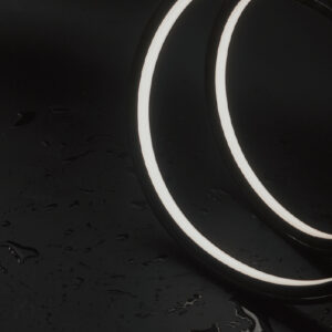 Black Neon IP67/IP65