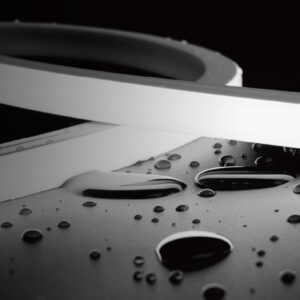 High Efficiency Neon IP67